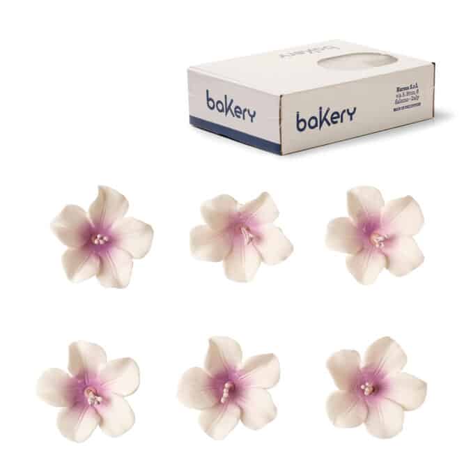 decora-bake-cook-azal-es-d-cor-sucre-4-cm-x12 image 2