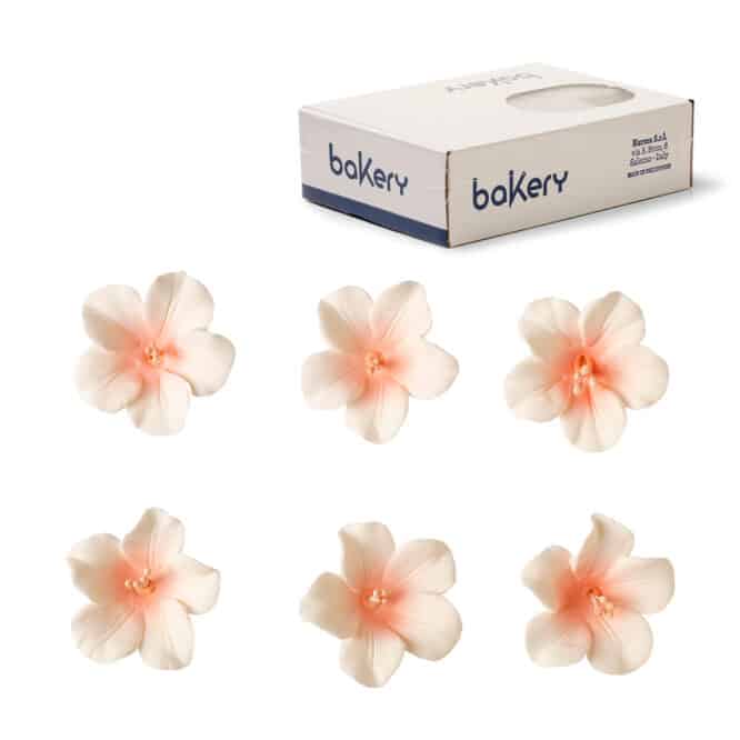 decora-bake-cook-azal-es-d-cor-sucre-4-cm-x12 image 4