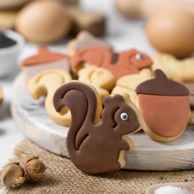decora-bake-cook-bosco-emporte-pi-ces-gland-cureuil image 2