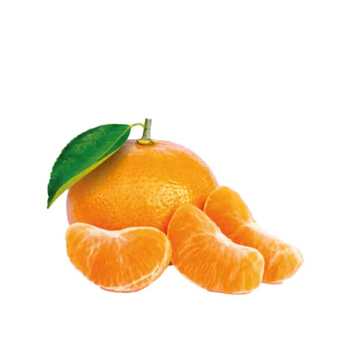 decora-bake-cook-line-ar-me-p-te-mandarine-100-g image 5