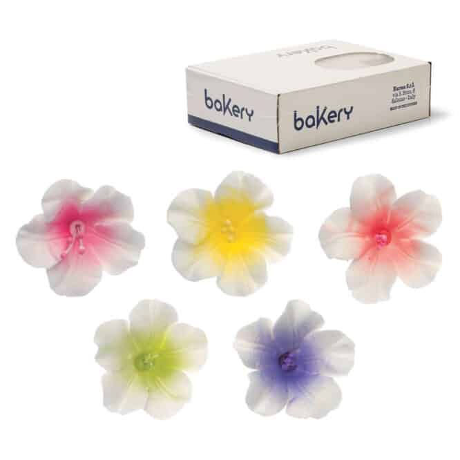 decora-bake-cook-azal-es-d-cor-sucre-4-cm-x12 image 1