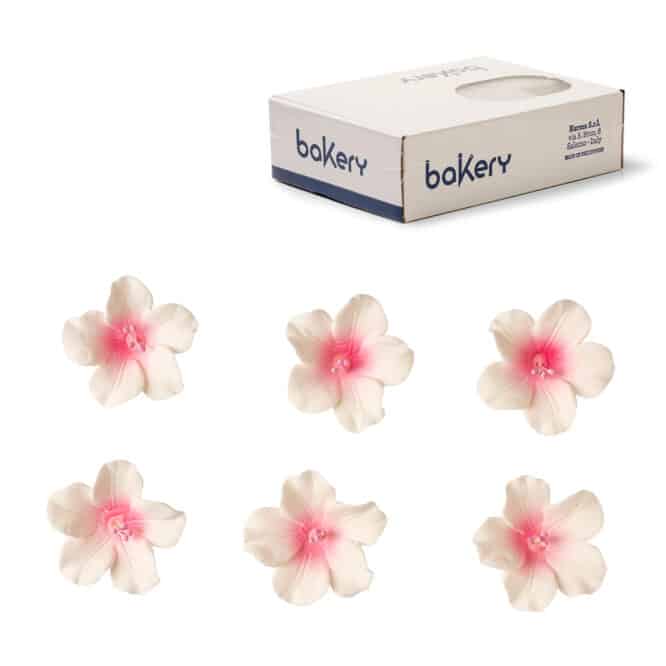 decora-bake-cook-azal-es-d-cor-sucre-4-cm-x12 image 6
