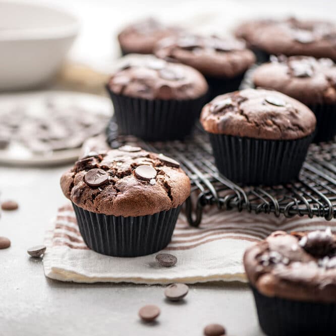 decora-bake-cook-line-caissettes-jumbo-muffin-55mm-600-pi-ces image 2