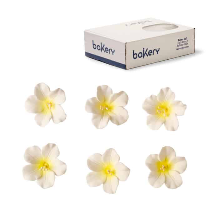 decora-bake-cook-azal-es-d-cor-sucre-4-cm-x12 image 5