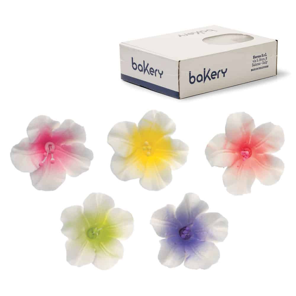 decora-bake-cook-azal-es-d-cor-sucre-4-cm-x12 image 7