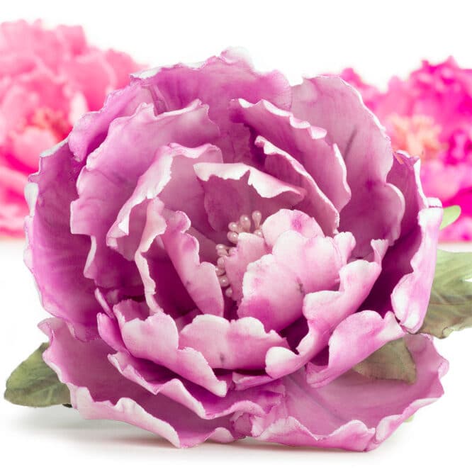 decora-bake-cook-line-kit-7-emporte-pi-ces-pivoine-feuilles image 2