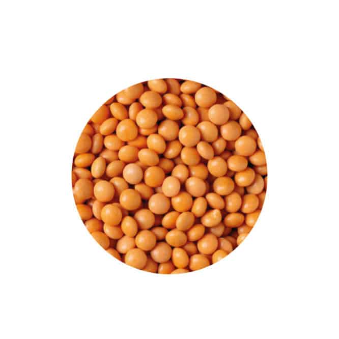decora-bake-cook-mini-lentilles-chocolat-lait-orange-1-kg image 5