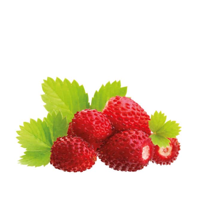 decora-bake-cook-p-te-concentr-e-fraise-100-g-parfum-g-teau image 4