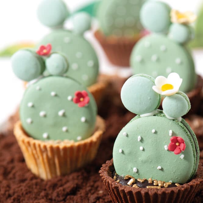 decora-bake-cook-line-fiorellini-fleurs-en-sucre-roses-30-pi-ces image 4
