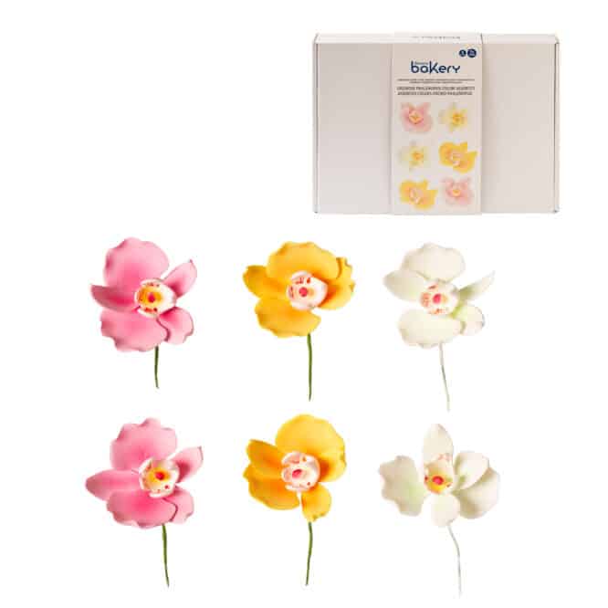 decora-bake-cook-orchid-es-d-cor-sucre-8-cm-x6 image 1