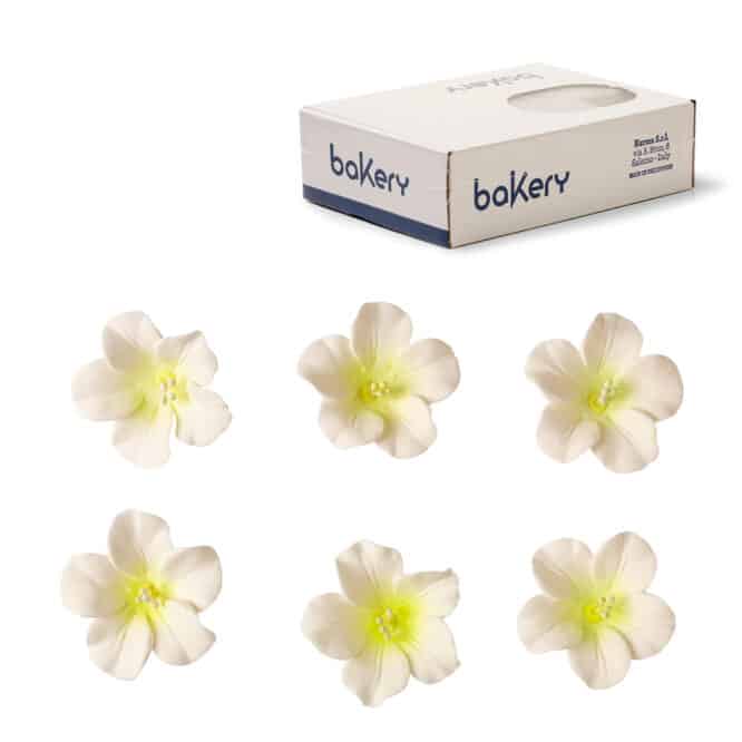 decora-bake-cook-azal-es-d-cor-sucre-4-cm-x12 image 3